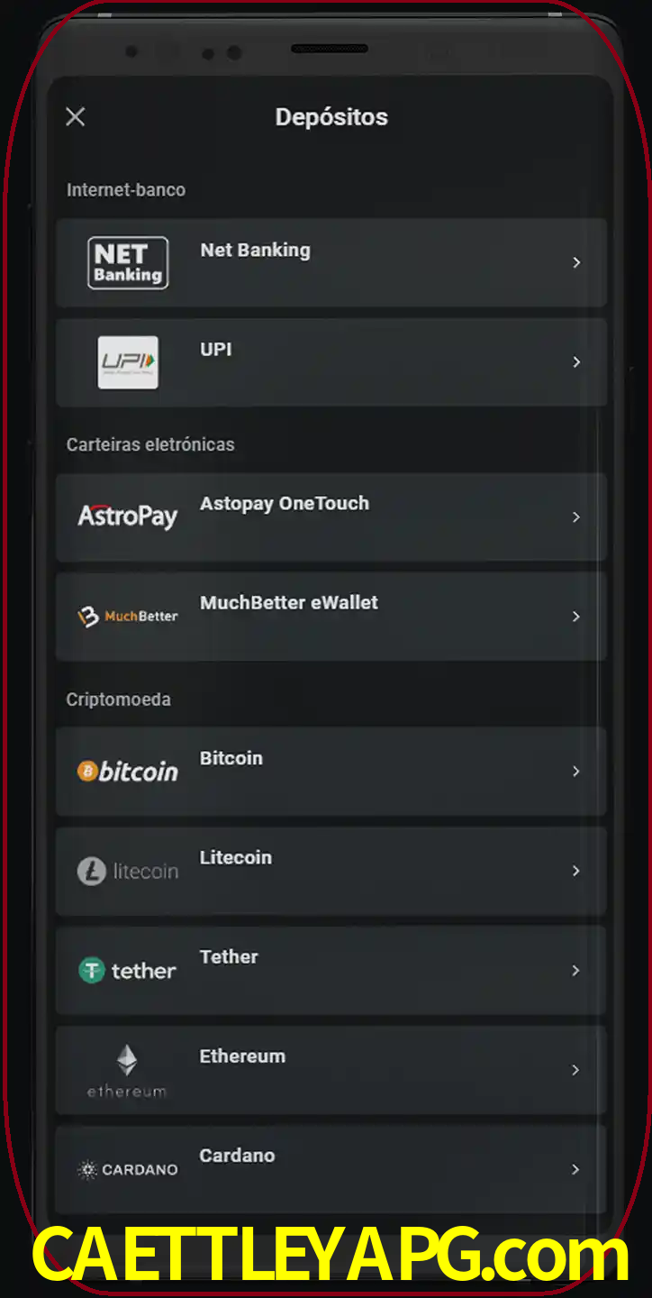Você pode usar métodos alternativos de depósito.