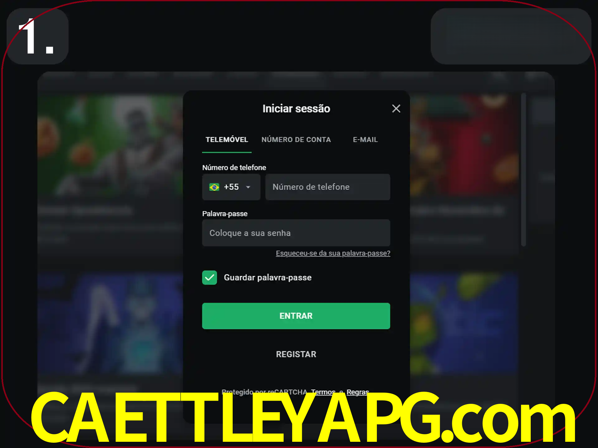 Acesse o site.