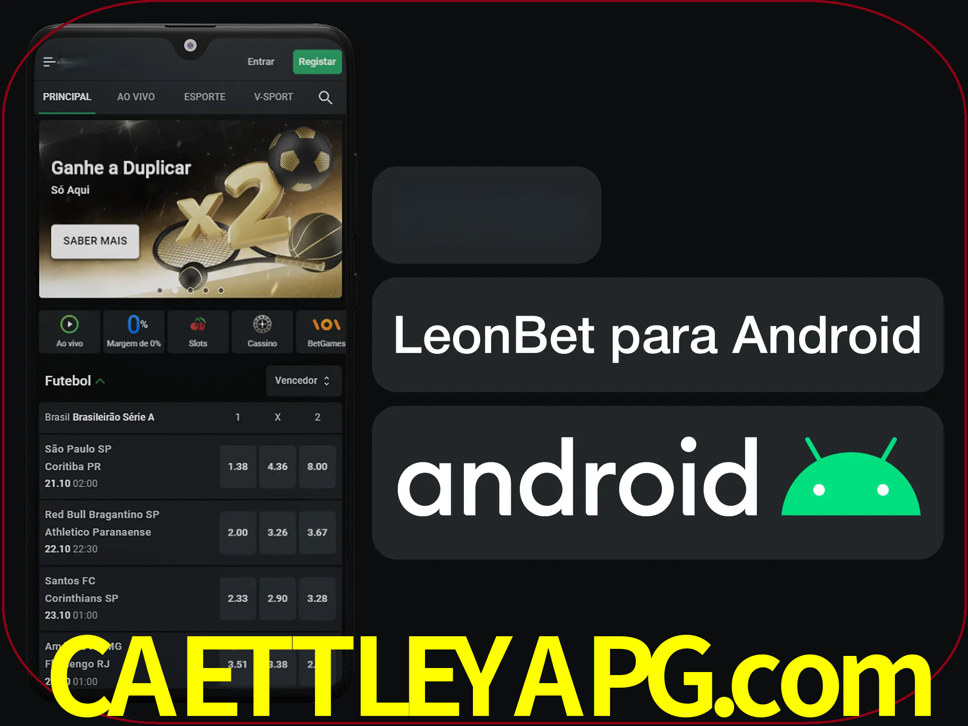 Adquira sua versão poket de LeonBet.